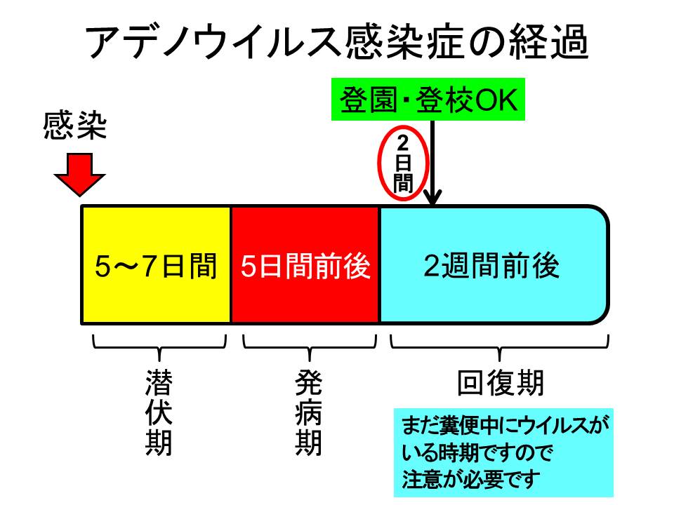 大人もかかるアデノウイルスの症状・治療について | 西宮のわしお耳鼻咽喉科