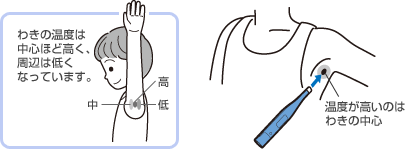 平熱を知ること 正しい体温の測り方について 西宮のわしお耳鼻咽喉科