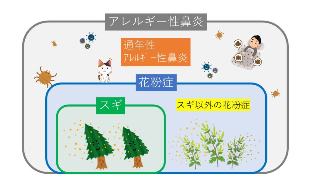 アレルギー性鼻炎はどのように診断されますか?