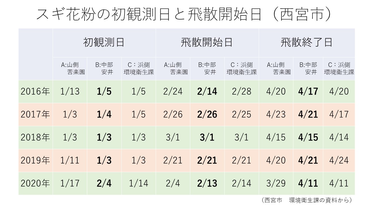 スギ花粉はもう飛んでるの まだ飛んでないの 21年の予想 西宮のわしお耳鼻咽喉科