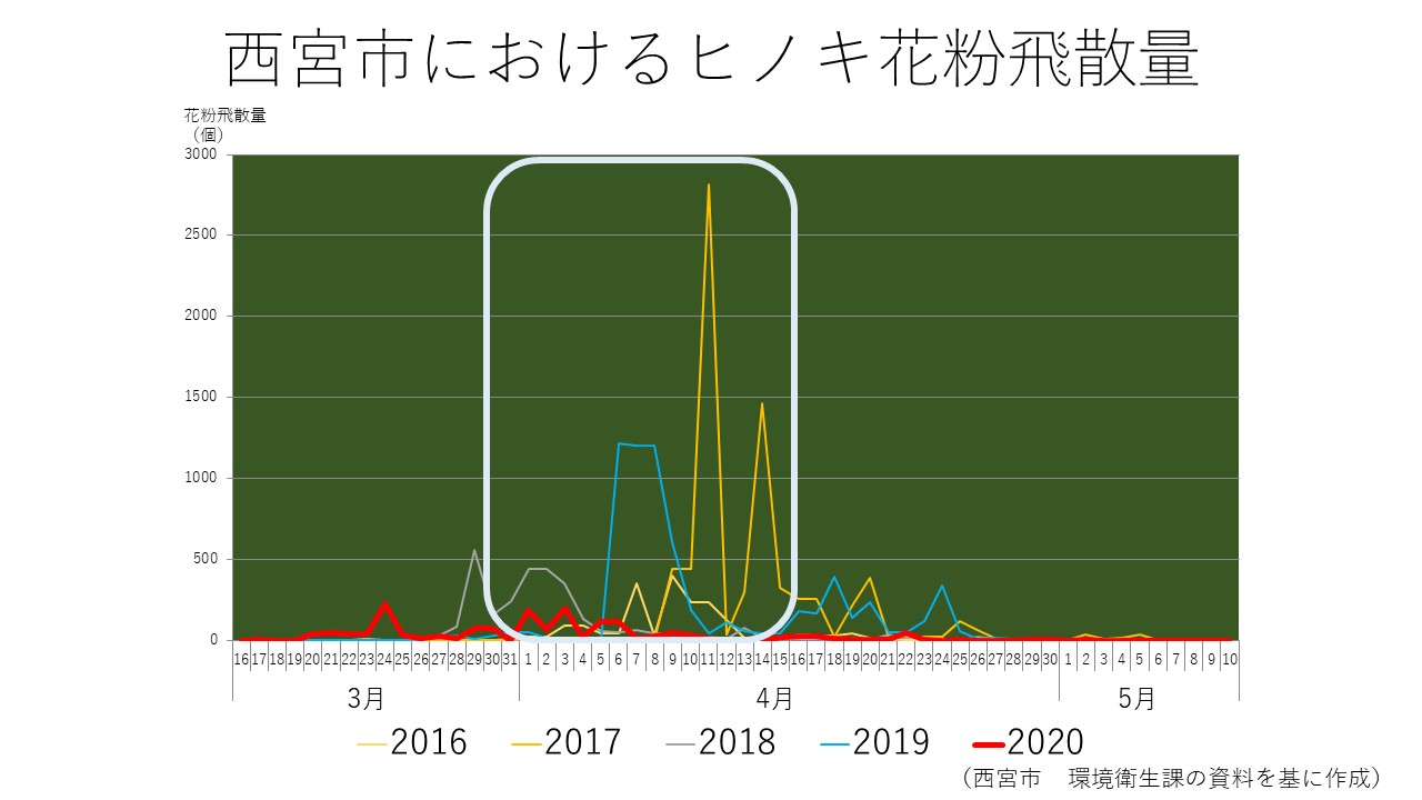 スギ花粉症の人で4月も調子が悪ければ ヒノキ花粉症も疑います 西宮のわしお耳鼻咽喉科スギ花粉症の人で4月も調子が悪ければ ヒノキ花粉症も疑います