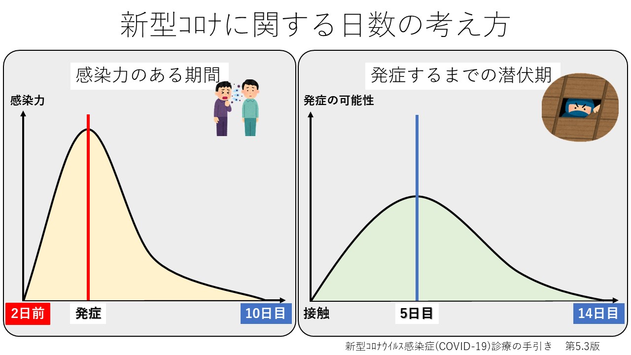 とし in english